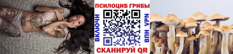 Галлюциногенные грибы Cubensis  Кыштым 